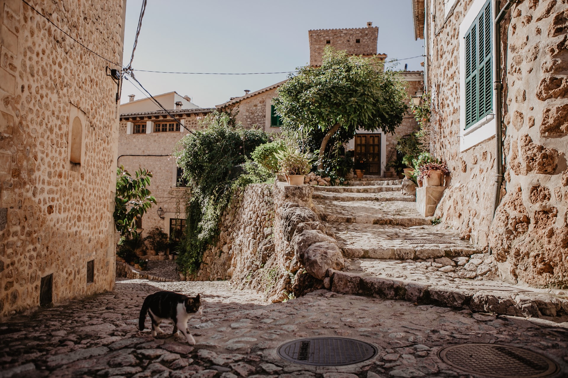 Weihnachten und Silvester auf Mallorca