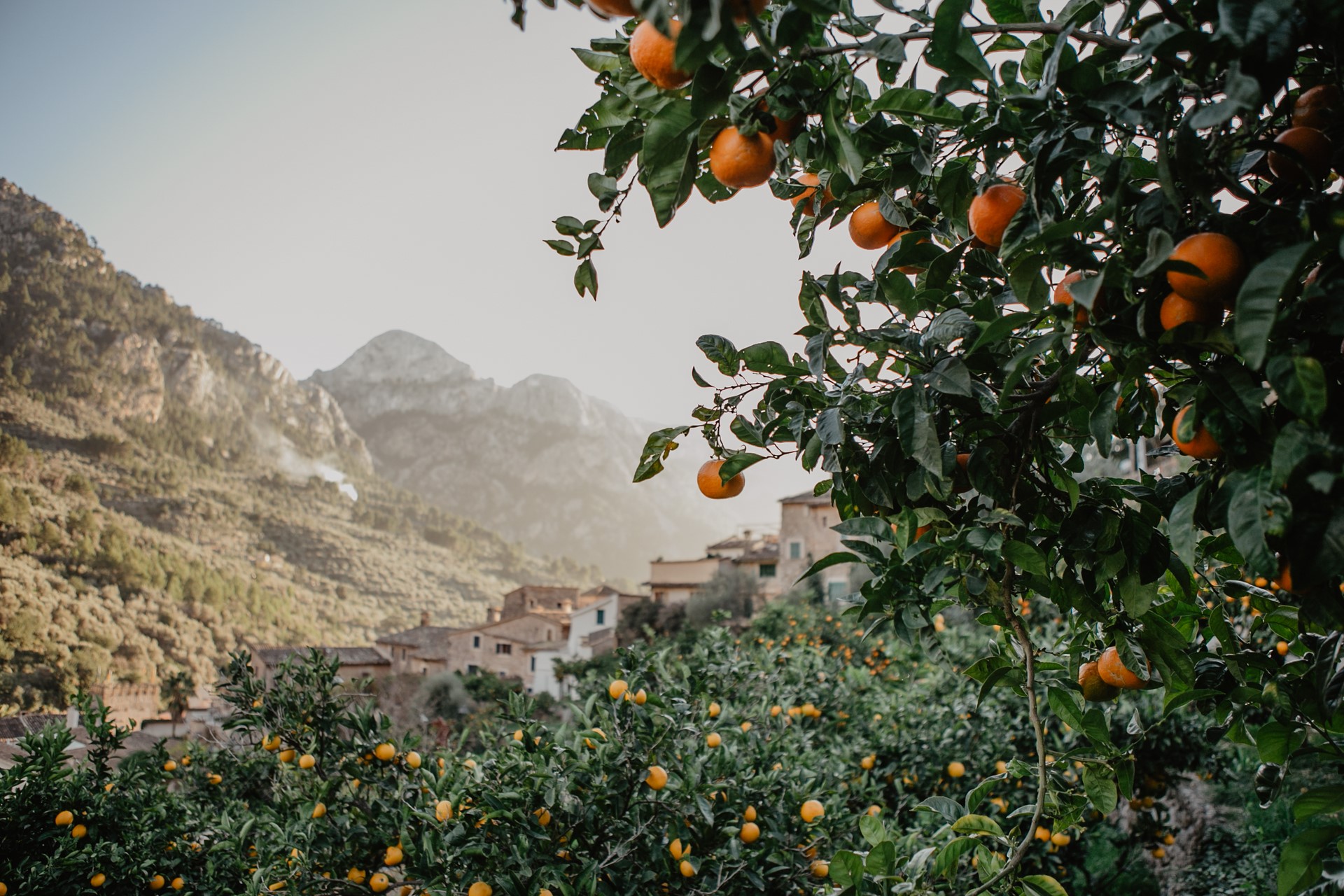 Weihnachten und Silvester auf Mallorca