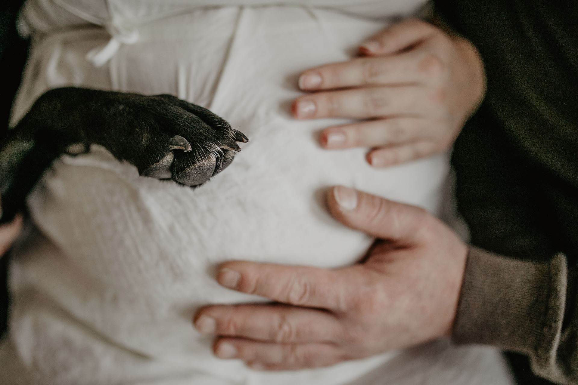Schwangerschaft-Shooting-Babybauch-Studio